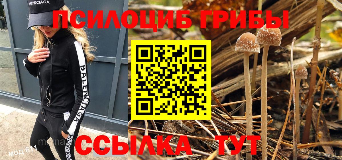 Псилоцибиновые грибы прущие грибы Рославль
