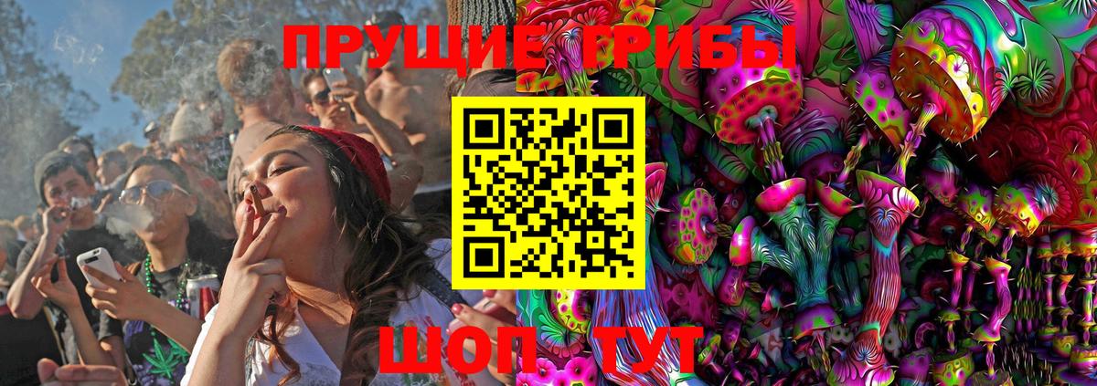 Псилоцибиновые грибы MAGIC MUSHROOMS  Вход с VPN  Рославль 